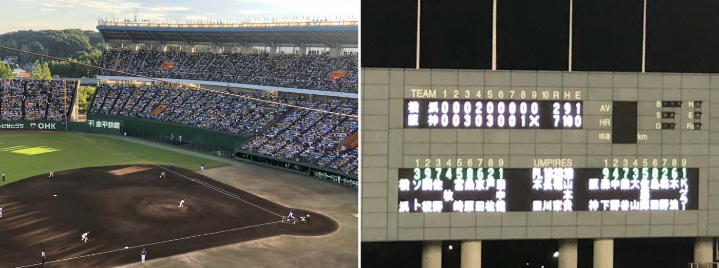 プロ野球 阪神vs横浜